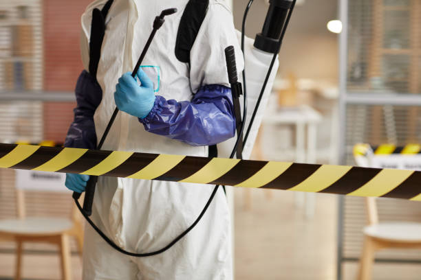 Professional Odor Removal technician working in Six Lakes, MI