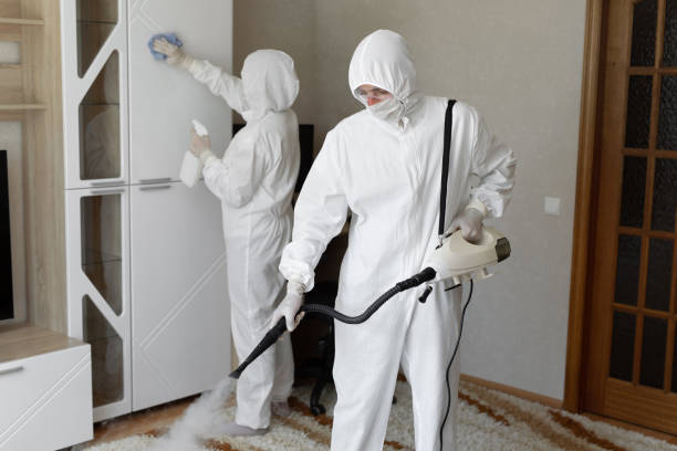 24/7 Emergency Odor Removal experts in Six Lakes, MI